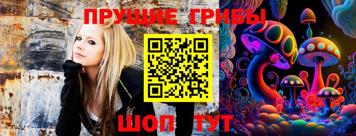 Псилоцибиновые грибы прущие грибы  Псилоцибиновые грибы мухоморы  Елизово  Вход с VPN 