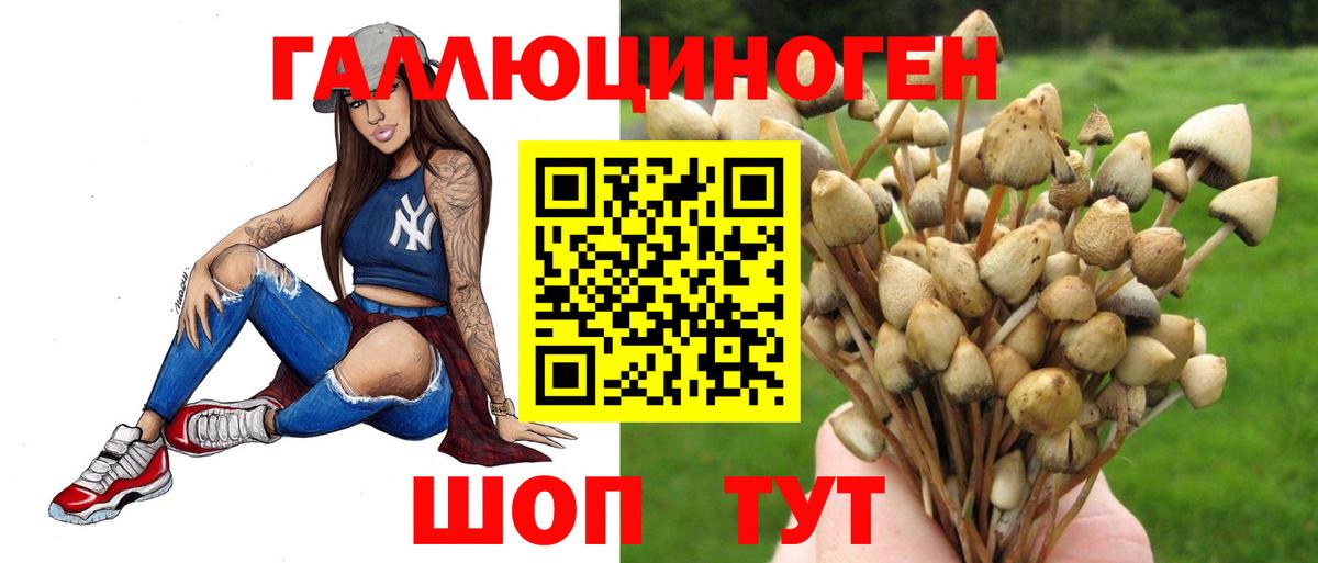 Галлюциногенные грибы Psilocybe Елизово