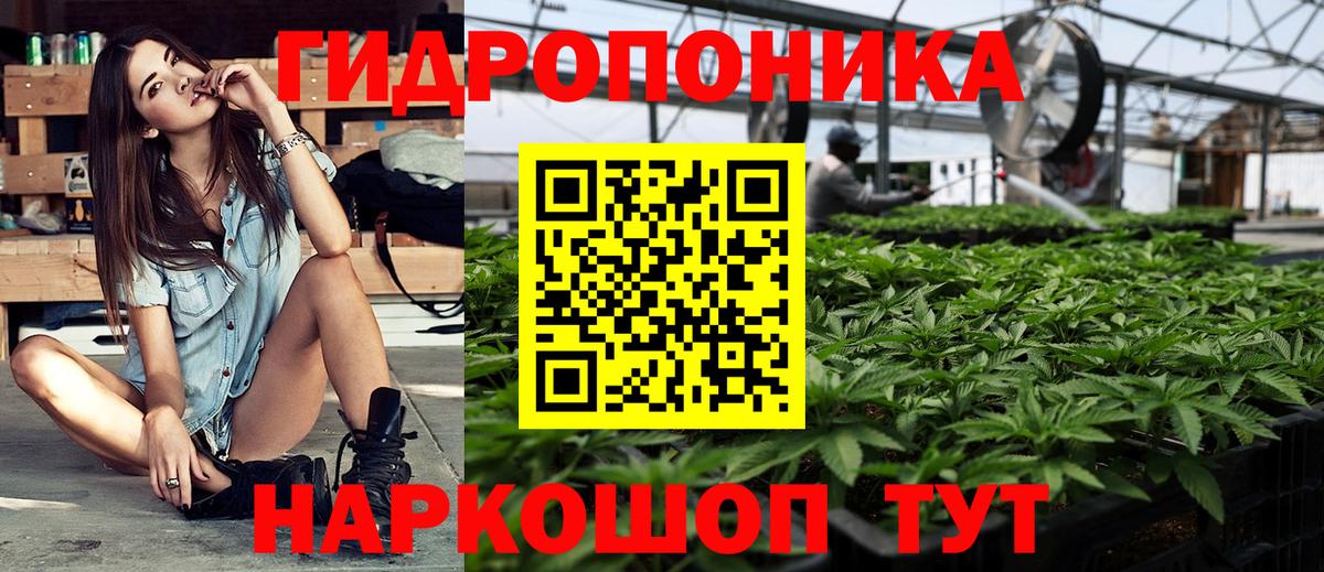 Бошки Шишки VHQ Елизово